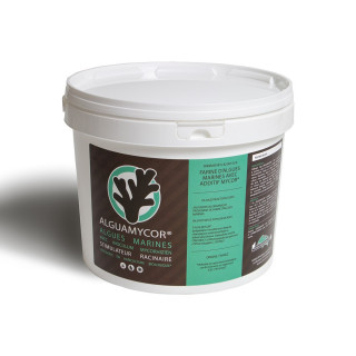 ALGUAMYCOR - seau de 2 Kg