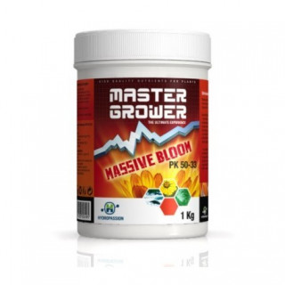 Massive Bloom 1 Kg - Master Grower