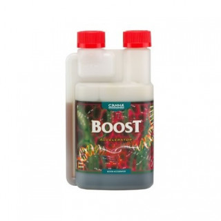 Boost Accelerator - Canna