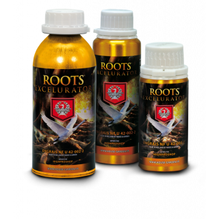 Root excelurator 250 ml house garden