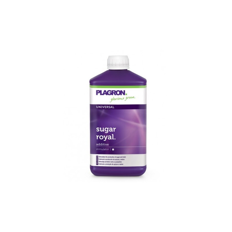 Sugar royal plagron 1 litre