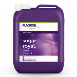 Sugar Royal 5 litres Plagron - floraison