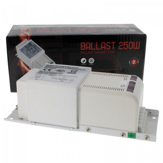 Ballast magnétique 250W Class 1 florastar