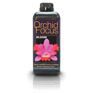 Orchid focus bloom 1 litre