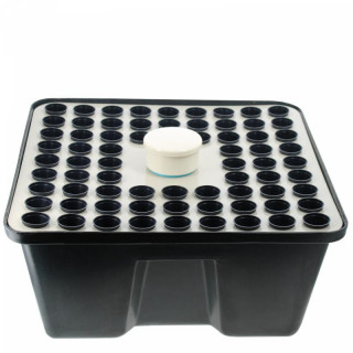 Rainforest - Moteur Vortex 12 Volts - 72 sites - GHE
