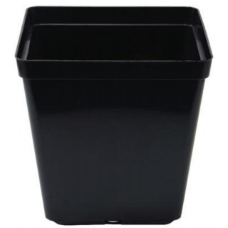 Pot carré noir 1,5 litre - 13 x 13 x 13 cm