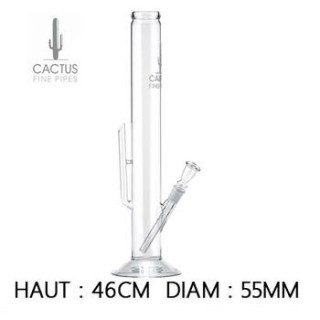 Bang en Verre Cactus 46cm