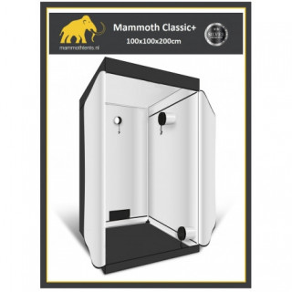 Box 100 x 100 x 200 cm - Mammoth classic+