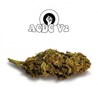 ACDC V2 Old Version Green Evolution Fleurs de CBD