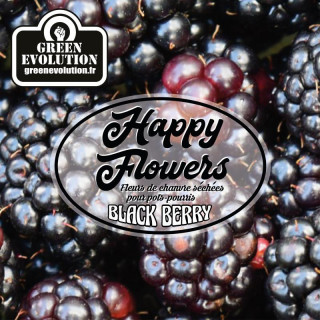 Black Berry Old Version Green Evolution Fleurs de CBD