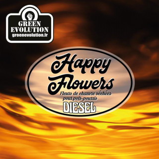 Diesel Old Version Green Evolution Fleurs de CBD