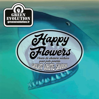 Great White Shark Old Version Green Evolution Fleurs de CBD