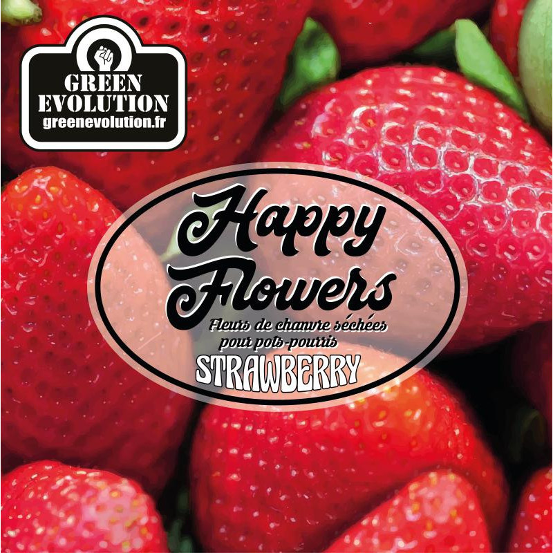 Strawberry Fleurs CBD - Green Evolution - Roots-seeds.fr