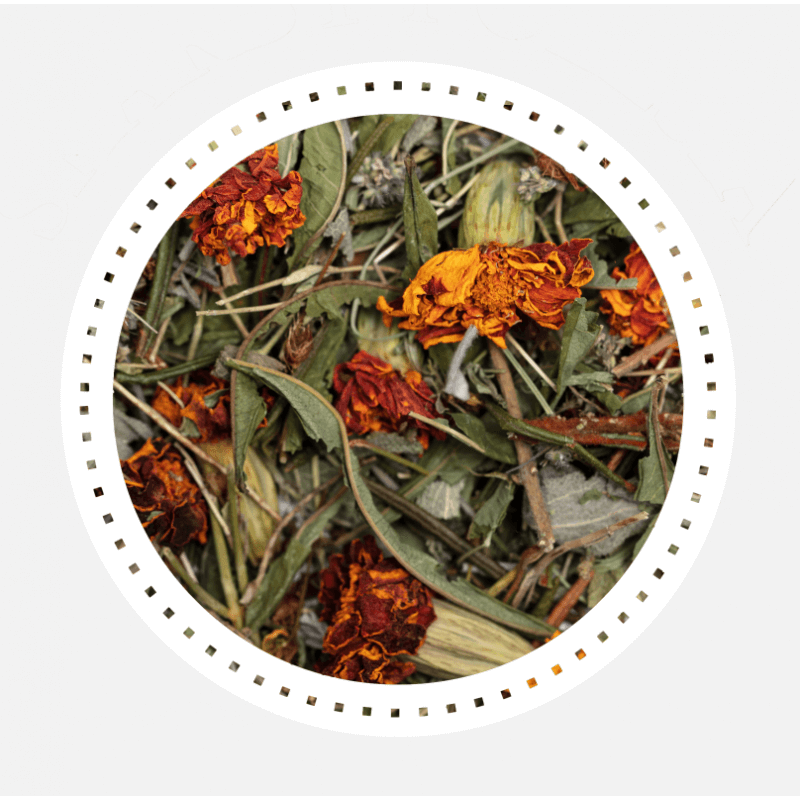 Mélange de plantes antivirus 20 g - India