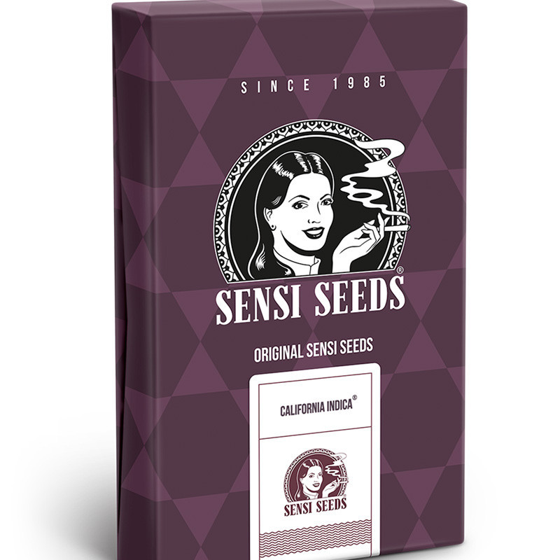 California Indica - Féminisée - Sensi Seeds