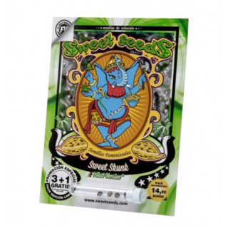 Sweet Skunk F1 Fast Version - Féminisée - Sweet Seeds
