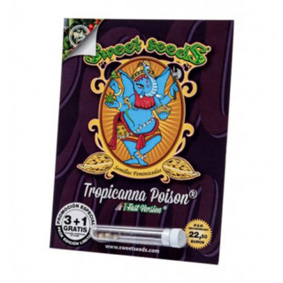 Tropicanna Poison F1 Fast Version - Féminisée - Sweet Seeds - Graines de Collection