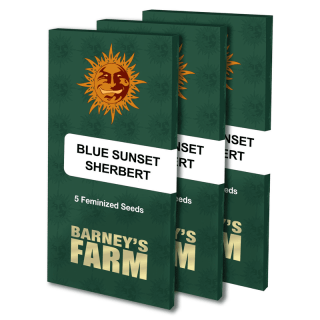 Blue Sunset Sherbert - Barney's Farm