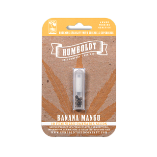 Banana Mango - Féminisée - Humboldt Seeds CO - Graines de collection