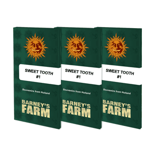Graines de Collection - Sweet Tooth 1 - FEM - Barney's Farm - ROOTS.FR