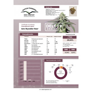 Skywalker Haze - Auto - Dutch Passion - Graines de collection