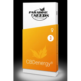 CBDenergy - Féminisée -Paradise Seeds - Graines de Collection