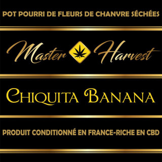 Chiquita Banana - Master Harvest - Fleurs de CBD
