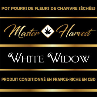 White Widow - Master Harvest - Fleurs de CBD