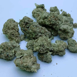 White Widow - Master Harvest - Fleurs de CBD