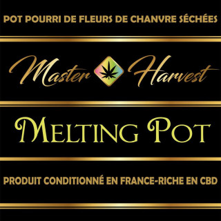 MELTING POT - Master Harvest - Fleurs de CBD
