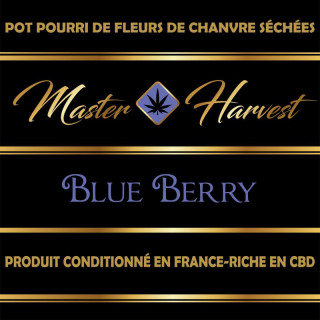 Blueberry - Master Harvest - Fleurs de CBD