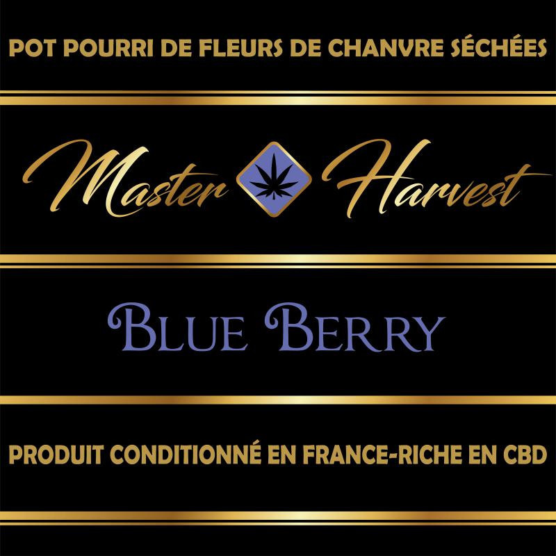 Blueberry - Master Harvest - Fleurs de CBD