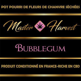 Bubblegum - Master Harvest - Fleurs de CBD