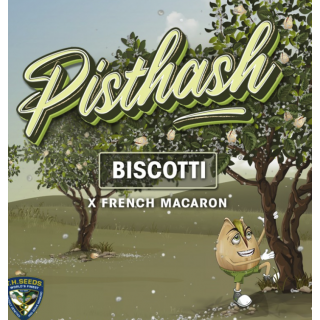 Pisthash - Féminisée - TH Seeds - Graines de collection