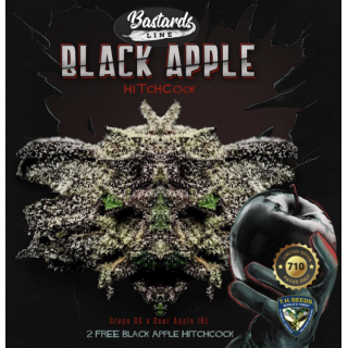 Black Apple Hitchcock Spécial Pack limited édition 5+3 - Féminisée - TH Seeds - Graines de collection