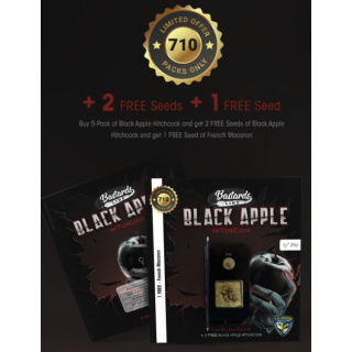 Black Apple Hitchcock Spécial Pack limited édition 5+3 - Féminisée - TH Seeds - Graines de collection