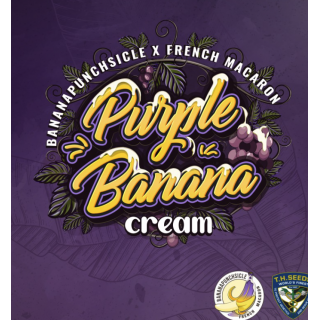 Purple Banana Cream Spécial pack limited édition 5+3 - Féminisée - TH Seeds - Graines de collection