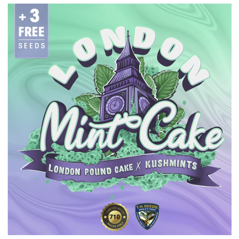 London Mint Cake spécial Pack édition limited 5+3 - Féminisée - TH Seeds - Graines de collection