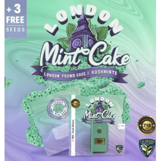 London Mint Cake spécial Pack édition limited 5+3 - Féminisée - TH Seeds - Graines de collection