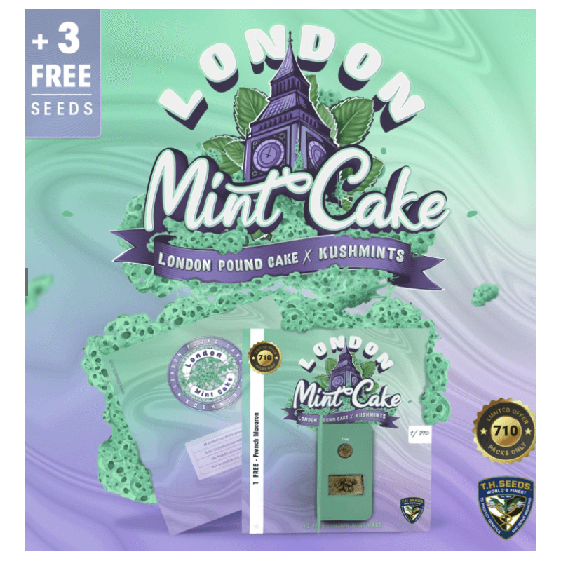 London Mint Cake spécial Pack édition limited 5+3 - Féminisée - TH Seeds - Graines de collection