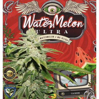 WaterMelon Ultra  - Féminisée - TH Seeds - Graines de collection