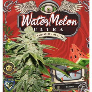 WaterMelon Ultra - Féminisée - TH Seeds - Graines de collection