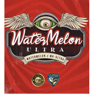 WaterMelon Ultra - Féminisée - TH Seeds - Graines de collection