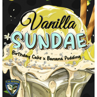 Vanilla Sundae Spécial Pack édition limited 5+3 - Féminisée - TH Seeds - Graines de collection