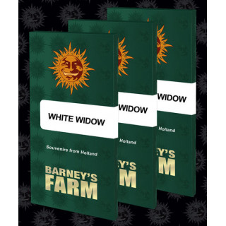 White Widow XXL - Barney's Farm