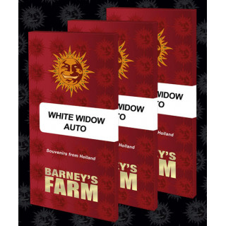 White Widow XXL Auto - Barney's Farm