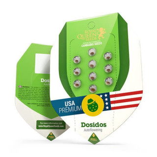 Dosidos - Auto - Royal Queen Seeds - Graines de Collection