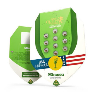 Mimosa - Auto - Royal Queen Seeds - Graines de collection