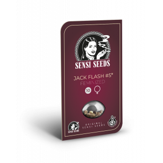 Jack Flash 5 - Féminisée -  Sensi Seeds - Graines de Collection