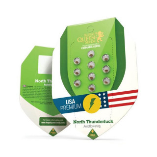 North Thunderfuck - Automatique - Royal Queen Seeds - Graines de Collection